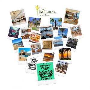 2021 Tripadvisor Travelers Choice Award