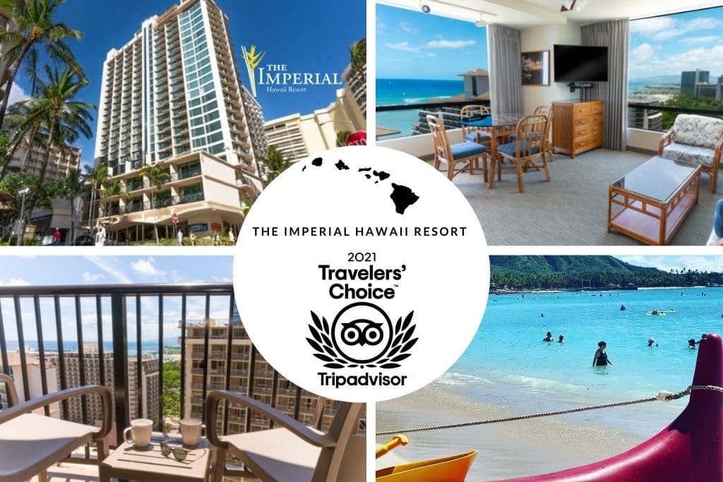 2021 Tripadvisor Travelers Choice Award