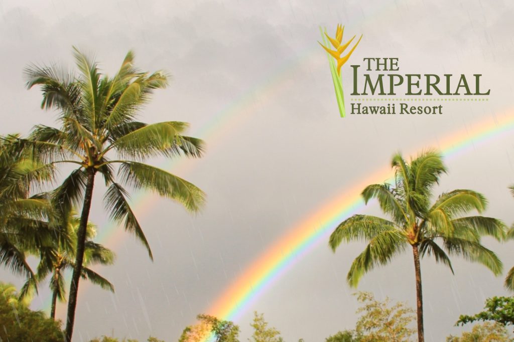 Rainy Summer Day in Waikīkī? No Problem